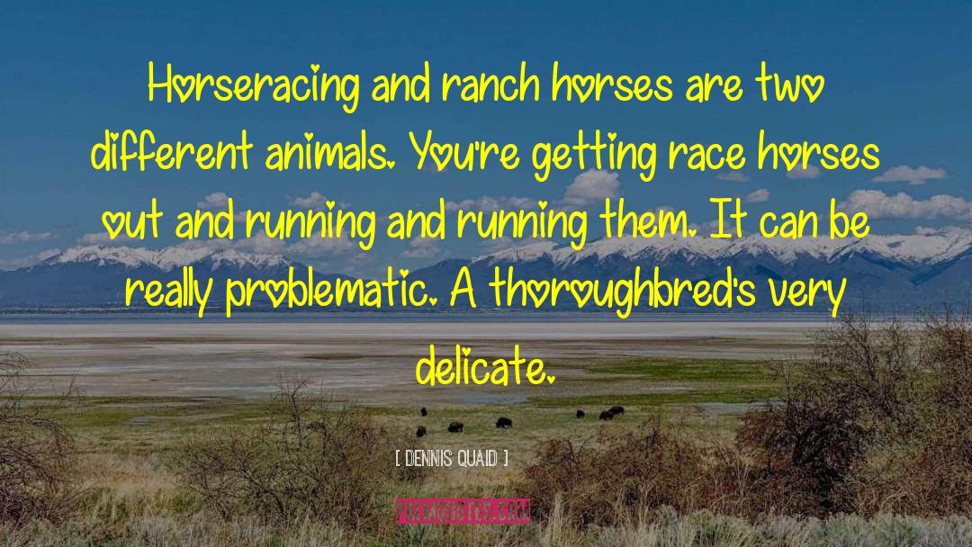Race Horses quotes by Dennis Quaid