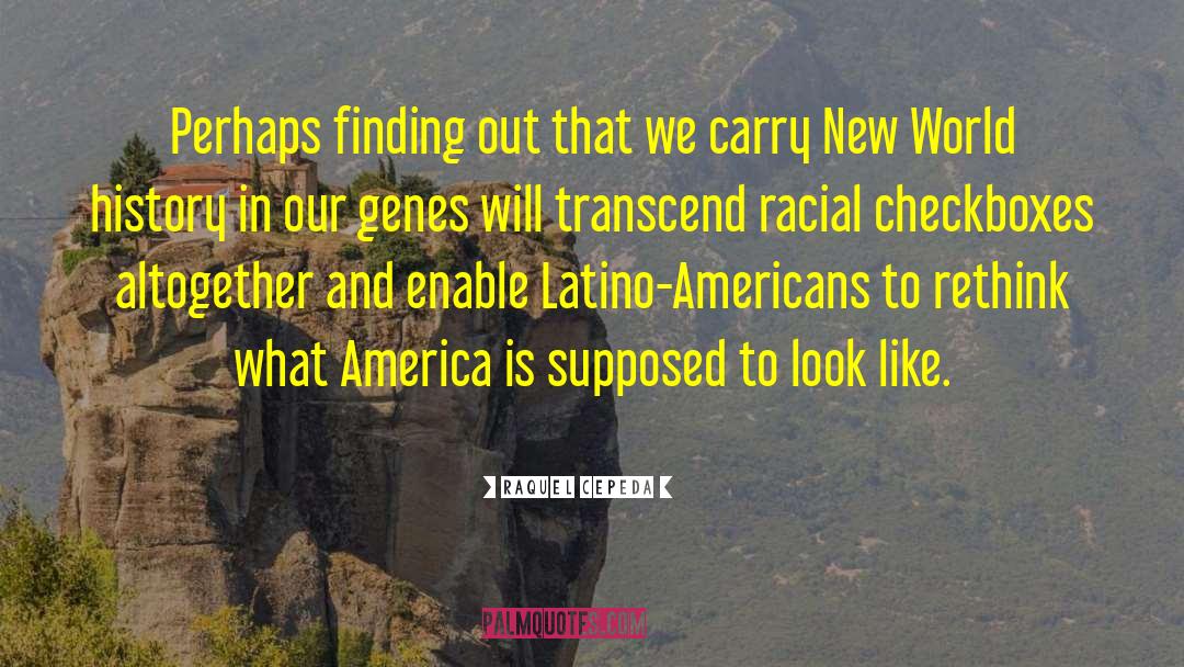 Race In America quotes by Raquel Cepeda