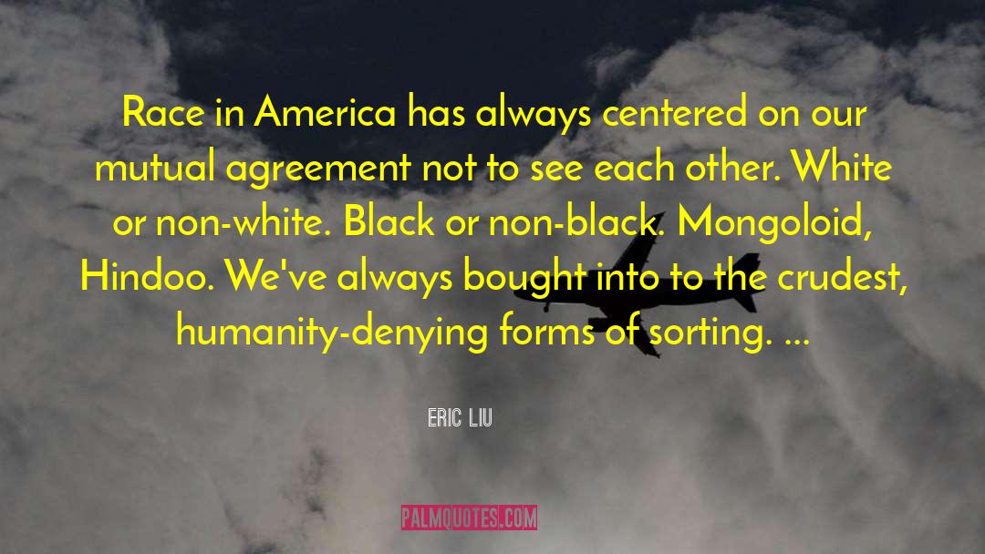 Race In America quotes by Eric Liu