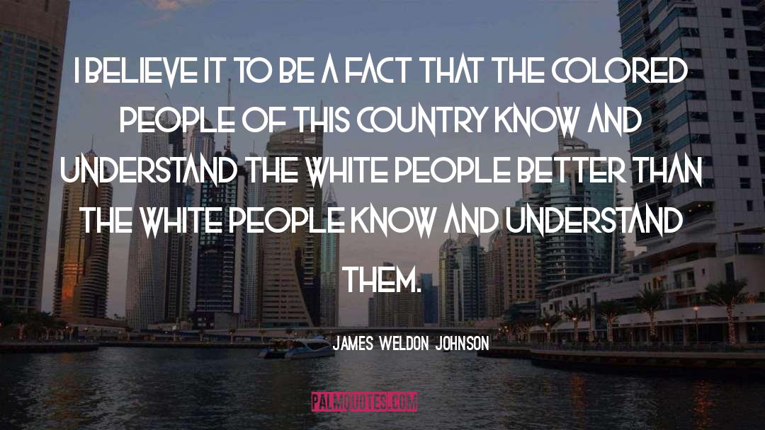 Race In America quotes by James Weldon Johnson