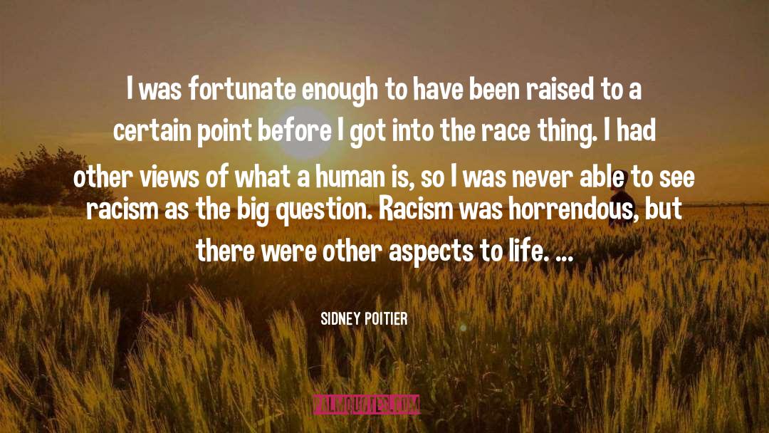Race Inequality quotes by Sidney Poitier