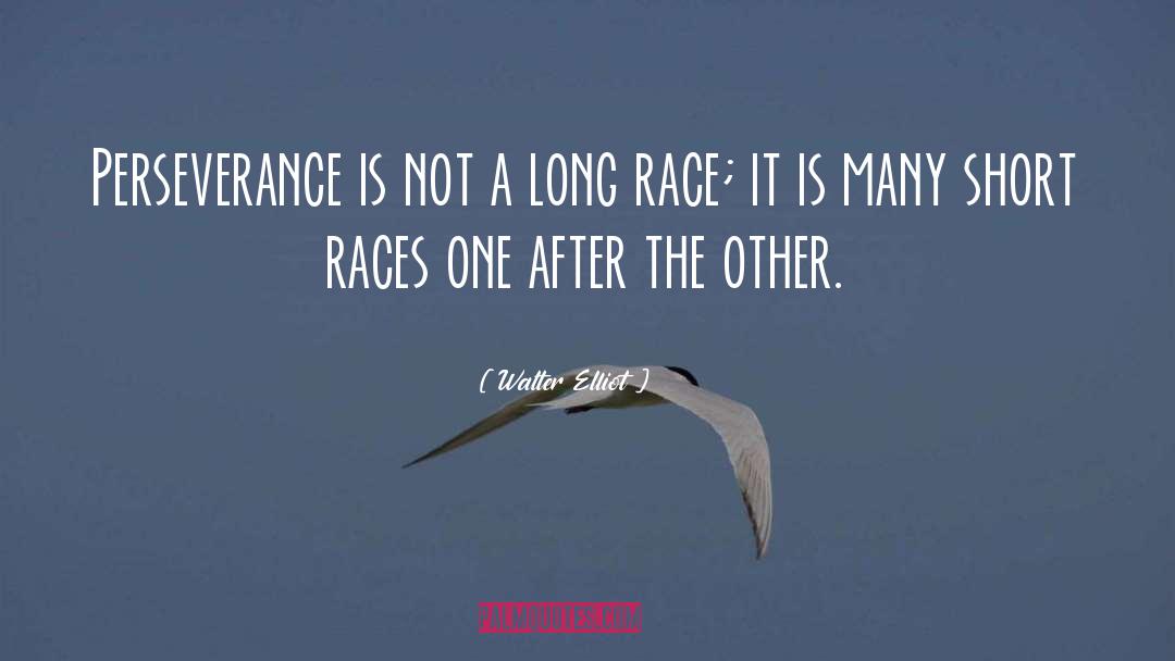 Race quotes by Walter Elliot