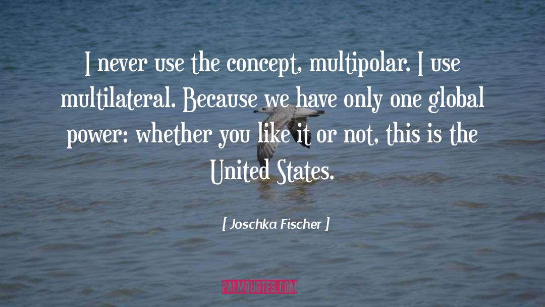 Racedo Use quotes by Joschka Fischer