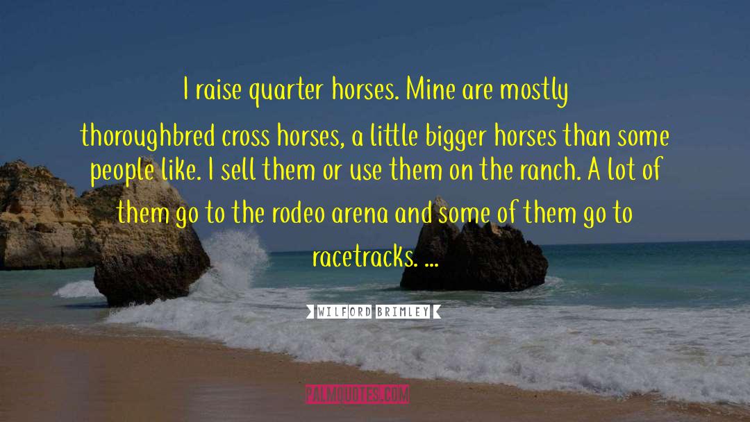 Racetracks quotes by Wilford Brimley
