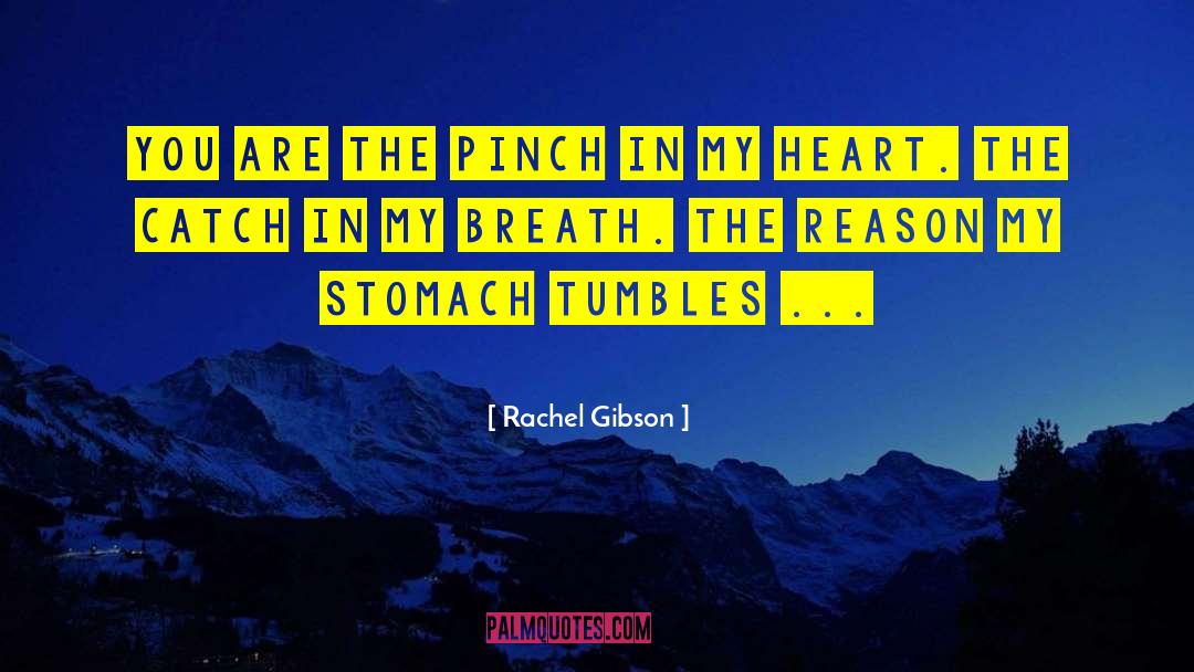 Rachel Gibson quotes by Rachel Gibson