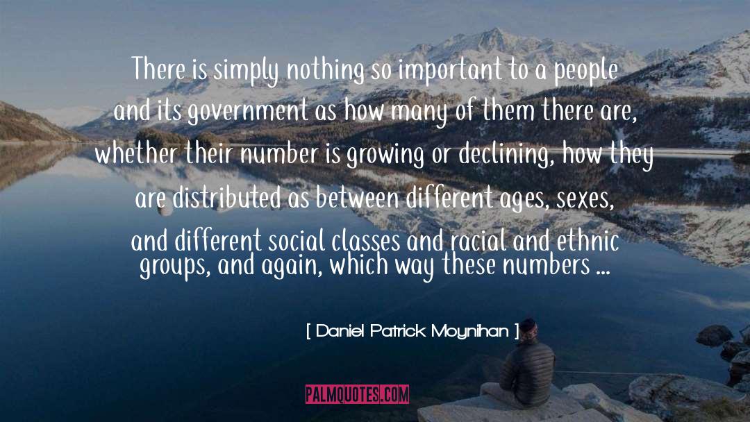 Racial quotes by Daniel Patrick Moynihan