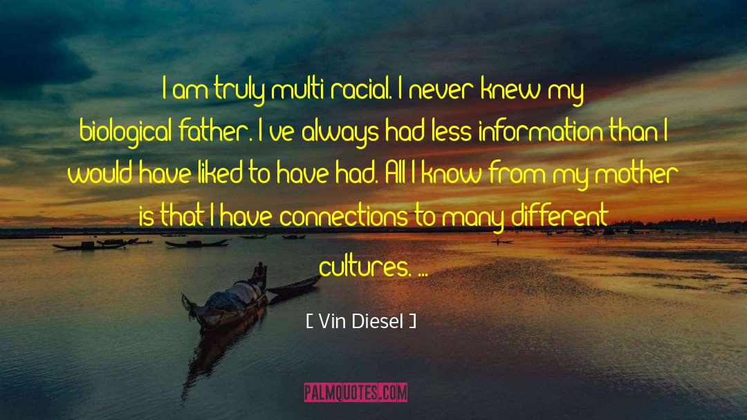 Racial Stereotypes quotes by Vin Diesel