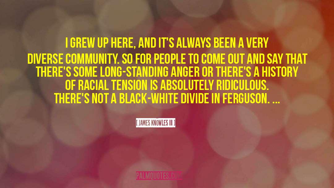 Racial Tension quotes by James Knowles III