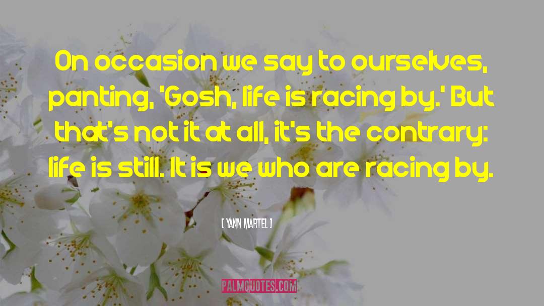 Racing Driver quotes by Yann Martel