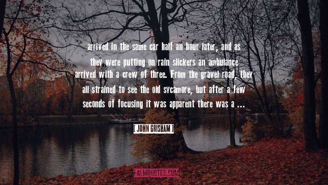 Racing In The Rain quotes by John Grisham