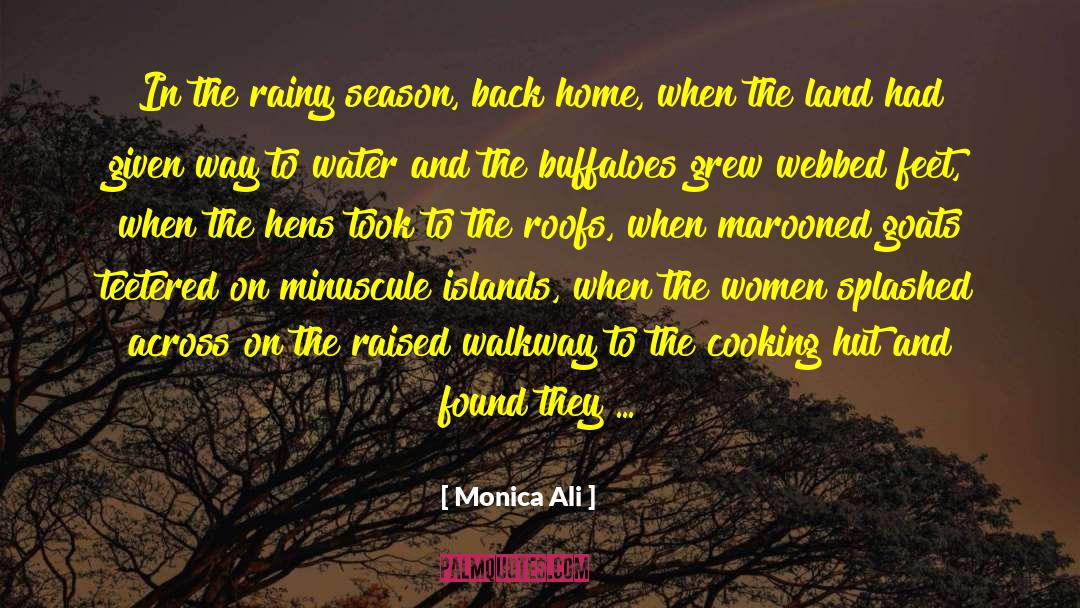 Racing In The Rain quotes by Monica Ali