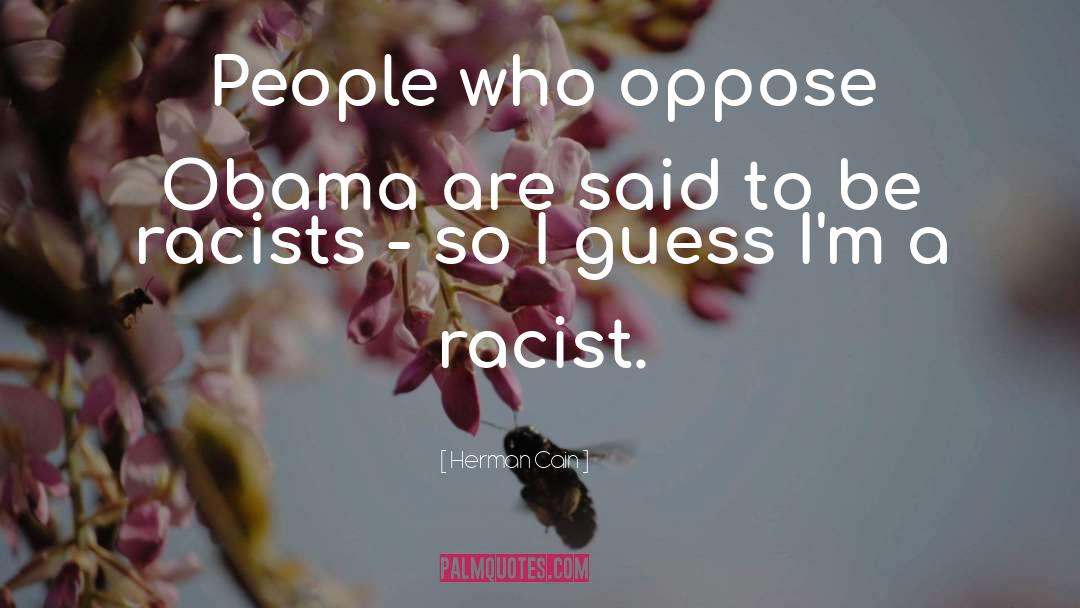Racists quotes by Herman Cain