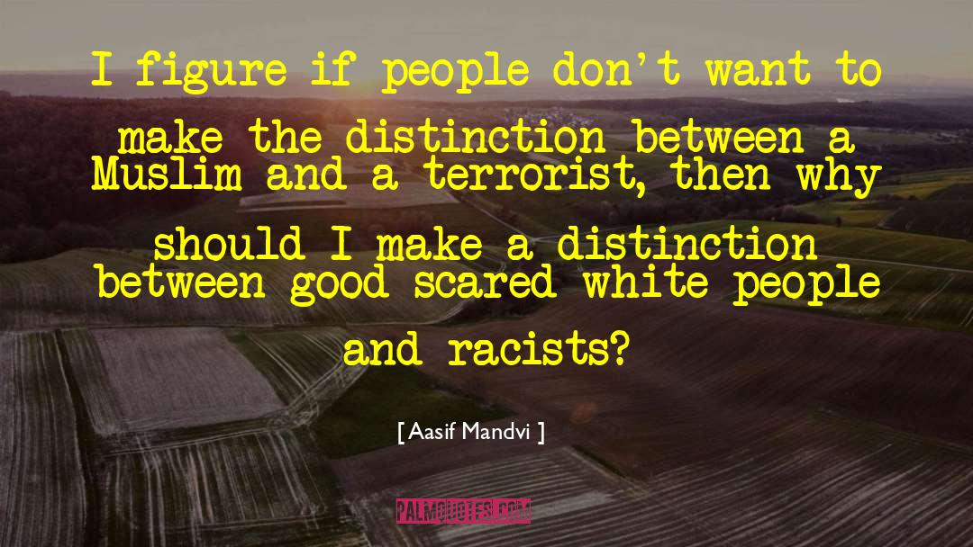 Racists quotes by Aasif Mandvi