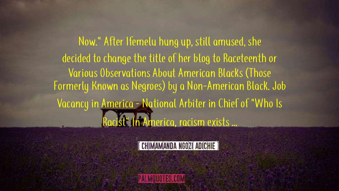 Racists quotes by Chimamanda Ngozi Adichie