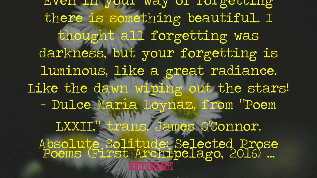 Radiance quotes by Dulce María Loynaz