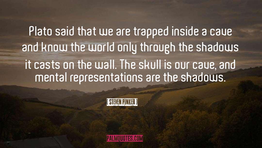 Radiant Shadows quotes by Steven Pinker