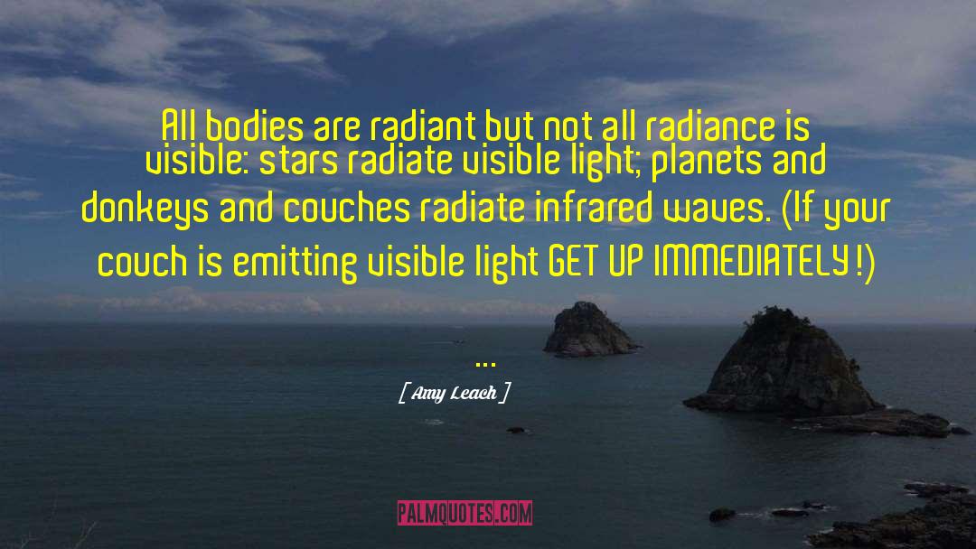 Radiate quotes by Amy Leach