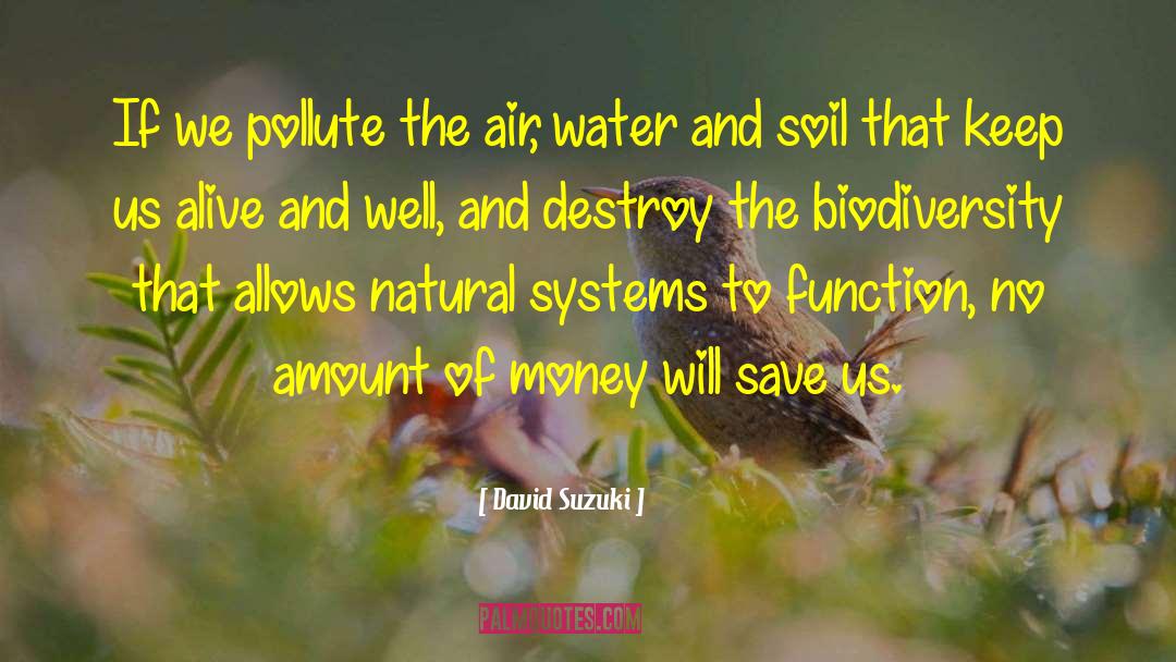 Radiating Positive Energy quotes by David Suzuki