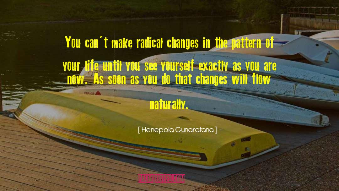 Radical Change quotes by Henepola Gunaratana