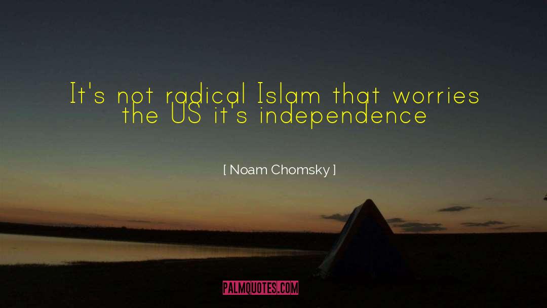 Radical Islam quotes by Noam Chomsky