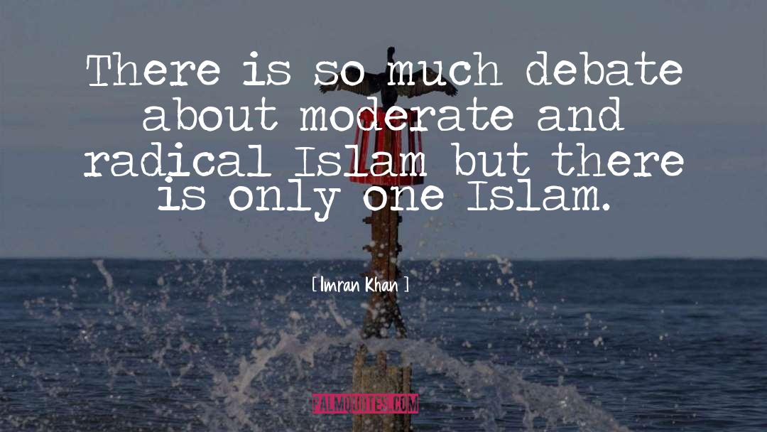 Radical Islam quotes by Imran Khan
