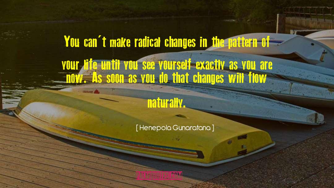 Radical Nonduality quotes by Henepola Gunaratana