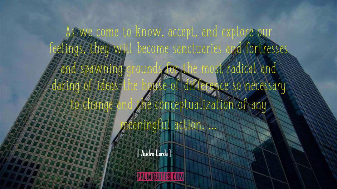Radical Reflection quotes by Audre Lorde