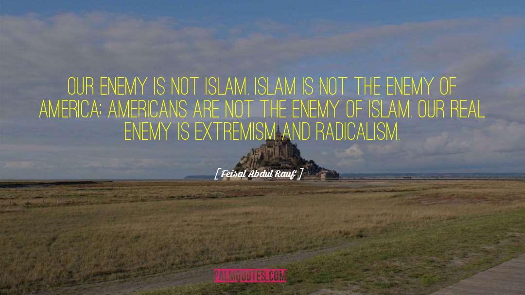 Radicalism quotes by Feisal Abdul Rauf