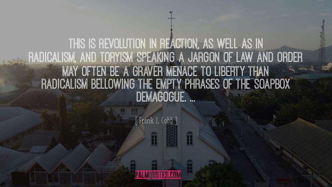 Radicalism quotes by Frank I. Cobb