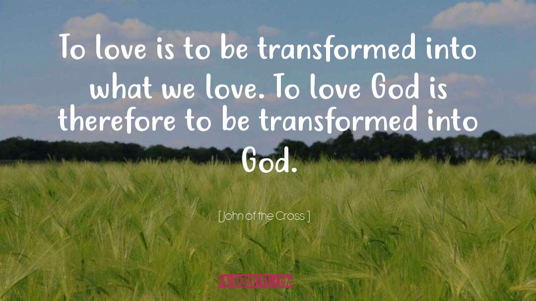 Radically Transformed quotes by John Of The Cross