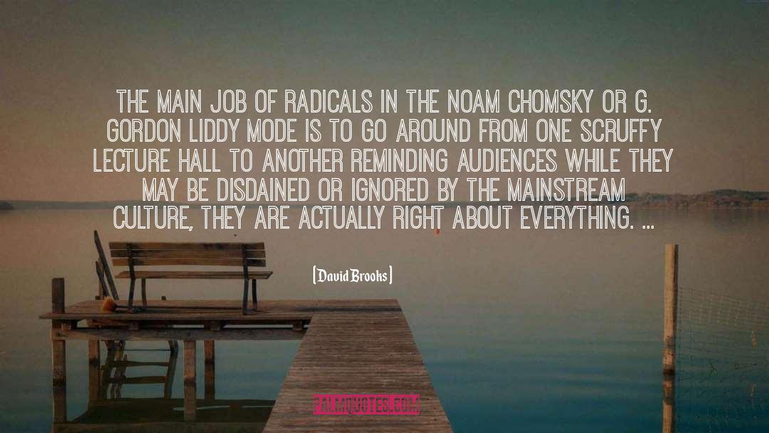 Radicals quotes by David Brooks