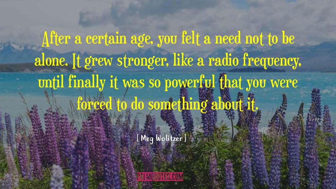 Radio Frequency quotes by Meg Wolitzer