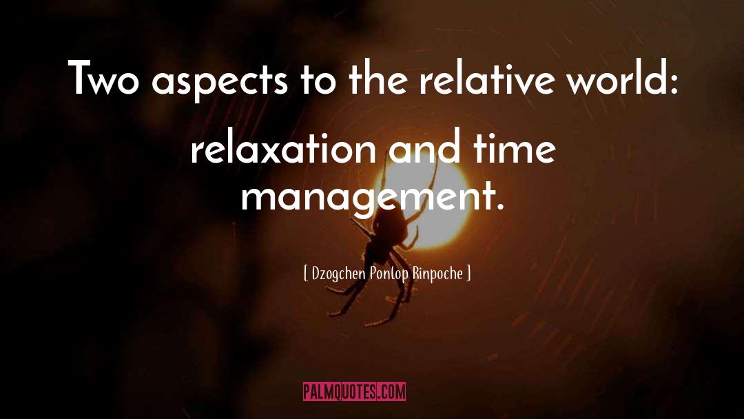 Radio Management quotes by Dzogchen Ponlop Rinpoche