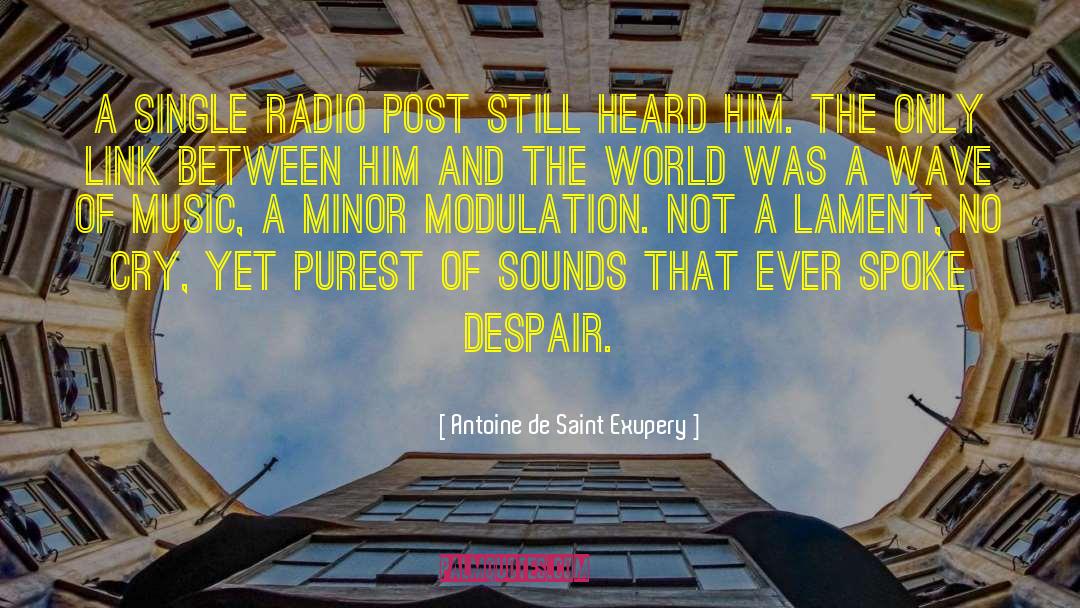 Radio Wave Sickness quotes by Antoine De Saint Exupery