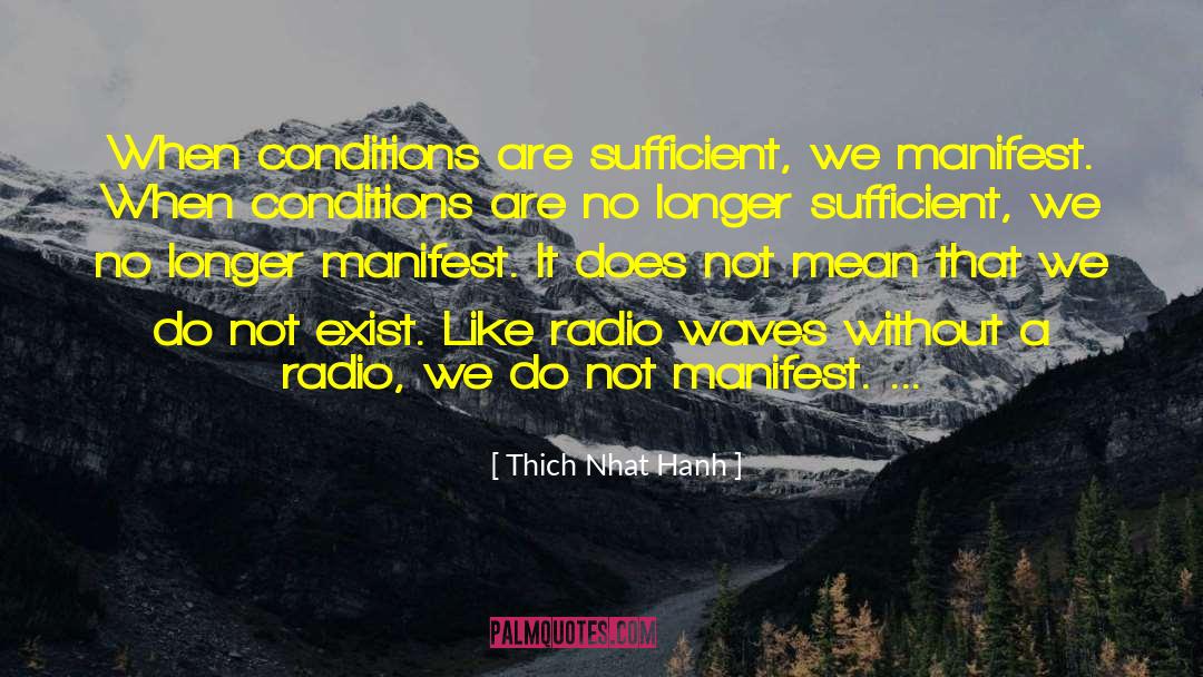 Radio Waves quotes by Thich Nhat Hanh