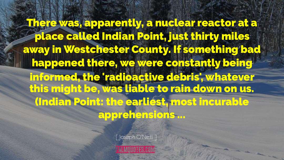 Radioactive quotes by Joseph O'Neill