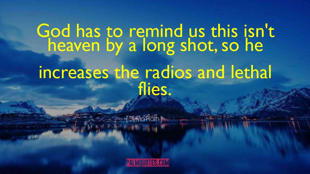 Radios quotes by Sylvia Plath