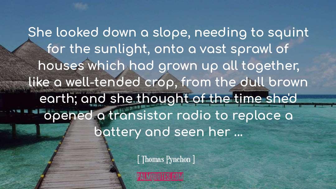 Radios quotes by Thomas Pynchon