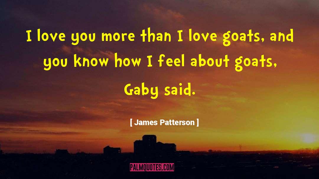 Rafa And Gaby quotes by James Patterson