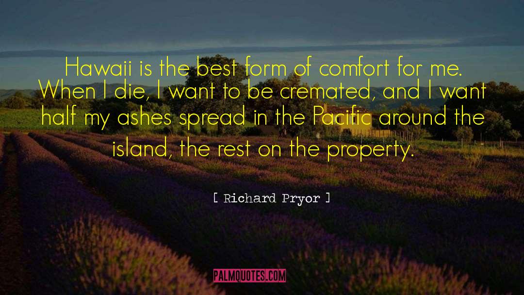 Rafaella Comfort quotes by Richard Pryor