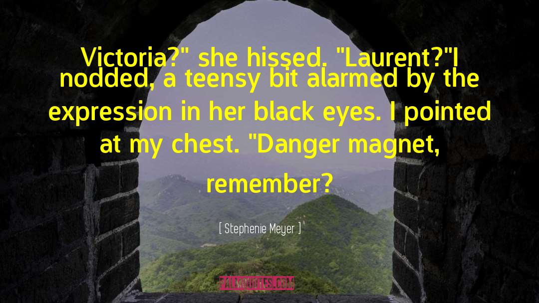 Raffaele Laurent Bessette quotes by Stephenie Meyer