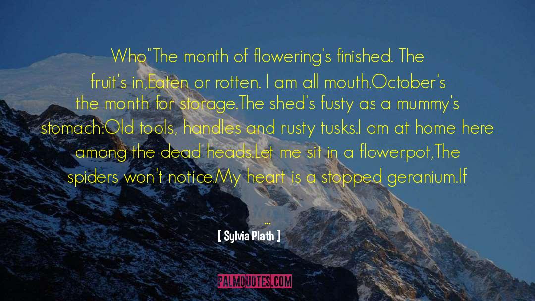 Rafters quotes by Sylvia Plath