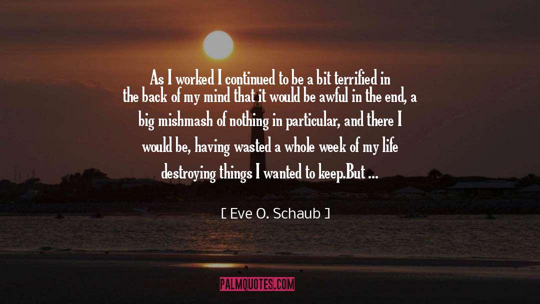 Rag quotes by Eve O. Schaub