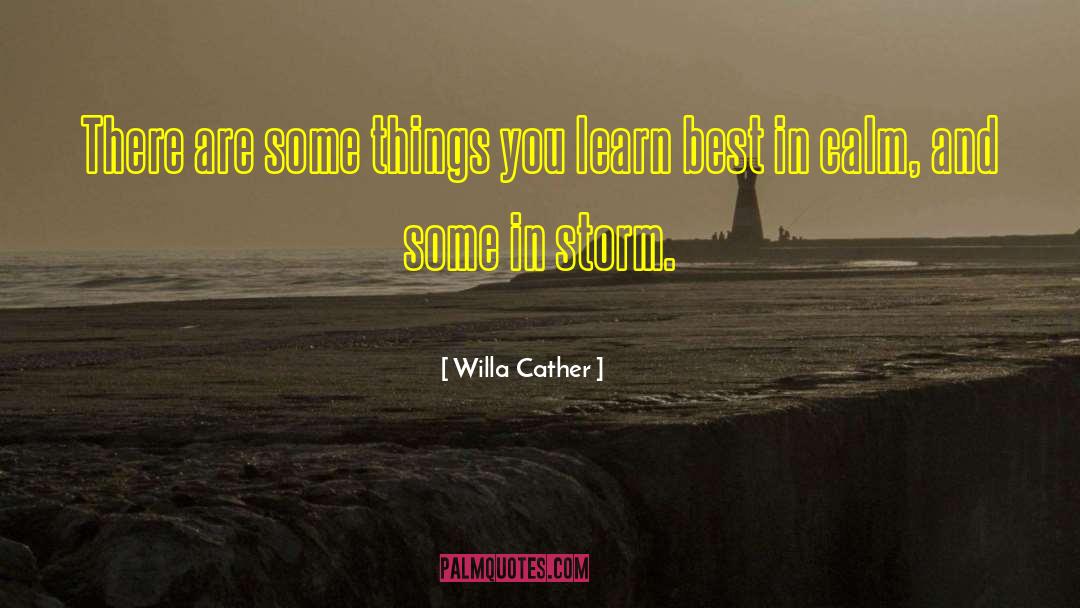 Raging Storm quotes by Willa Cather