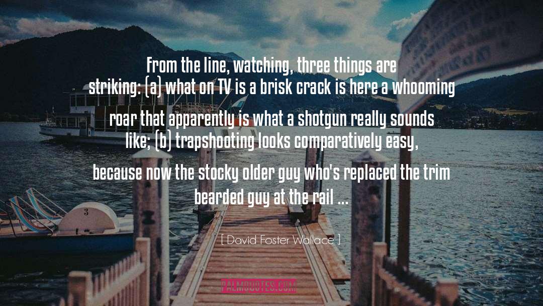 Rail quotes by David Foster Wallace