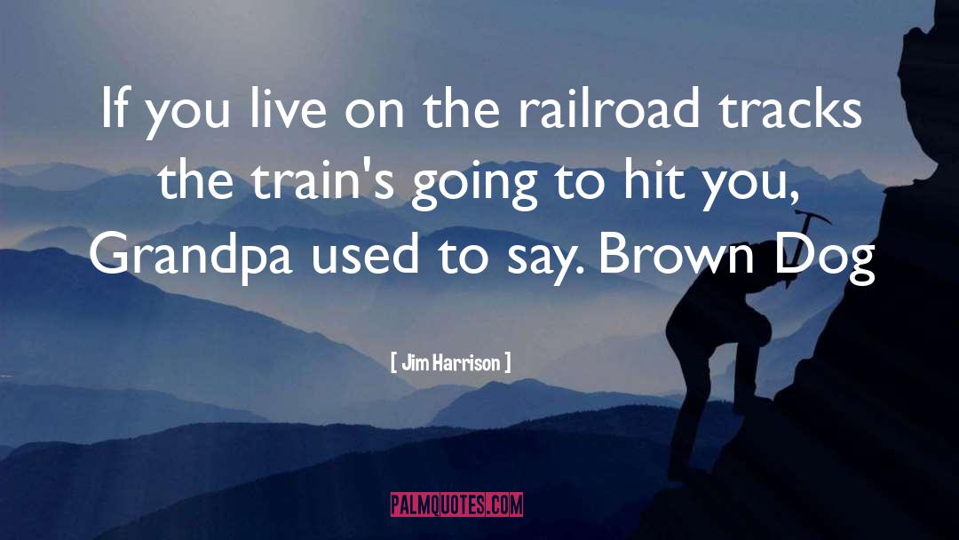 Railroad quotes by Jim Harrison