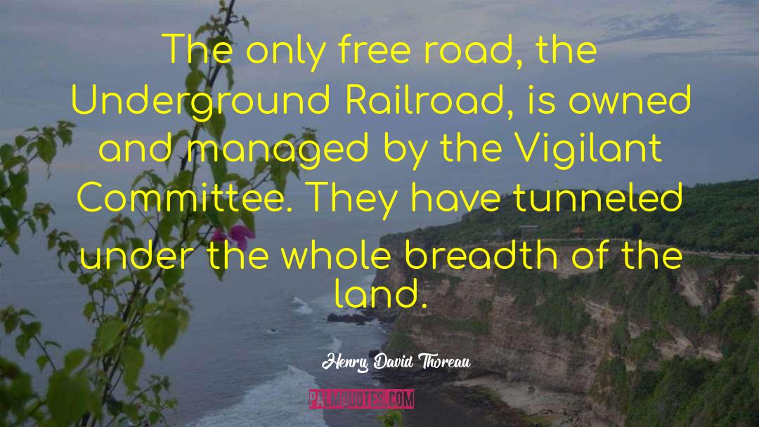 Railroad quotes by Henry David Thoreau