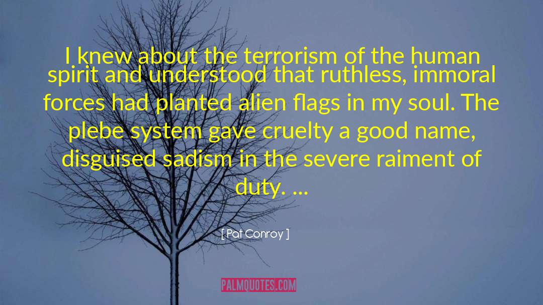 Raiment quotes by Pat Conroy