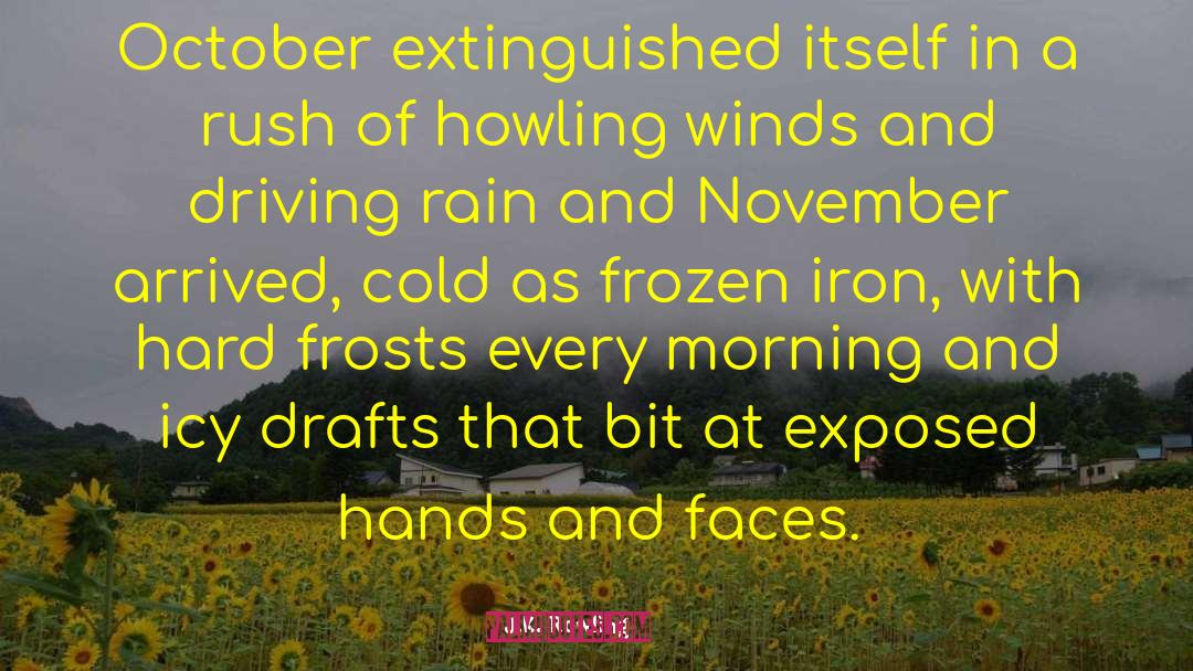 Rain After Hot Weather quotes by J.K. Rowling