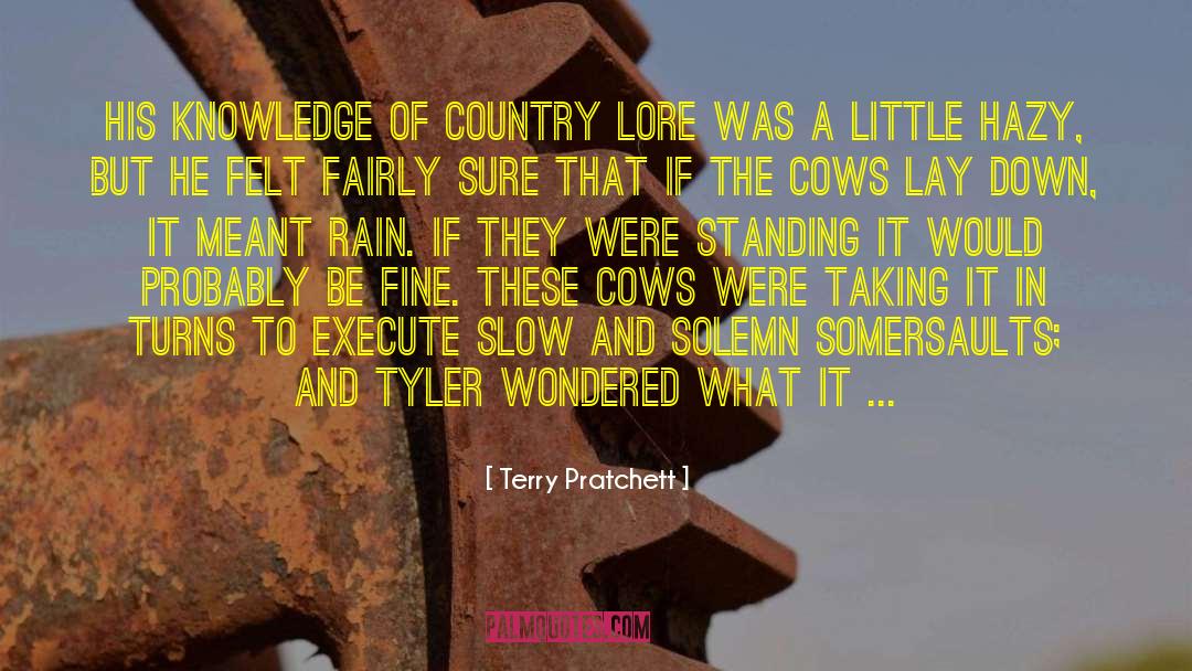 Rain After Hot Weather quotes by Terry Pratchett